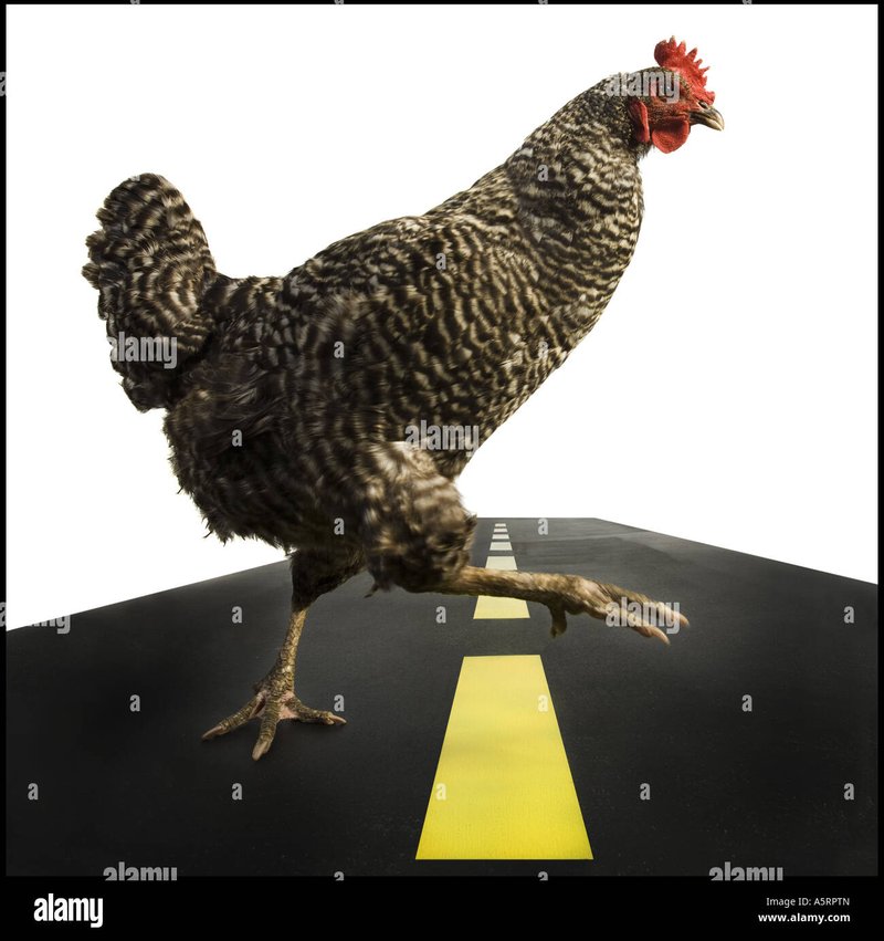 Juego chicken road in Spain